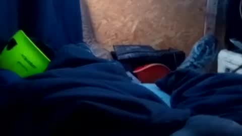 Snapshot of robsguitar chatting on August 2026 01:27:01 PM Rob online show from August 2026 01:27:01 PM