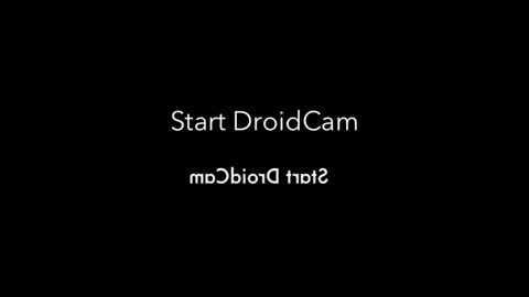 rojobob online show from November 2025 01:05:02 AM