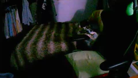 roktero 90 online show from December 2025 08:03:02 PM