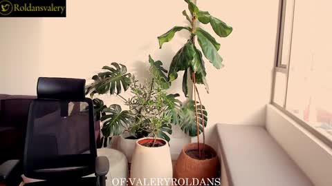 Valery Roldans online show from December 2024 09:52:01 PM