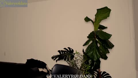 Valery Roldans online show from February 2025 03:44:01 AM