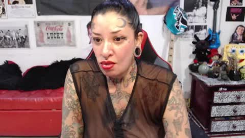 Rolly online show from December 2024 10:26:01 PM