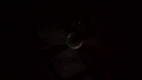 rompeculos121 online show from March 2025 11:47:02 AM