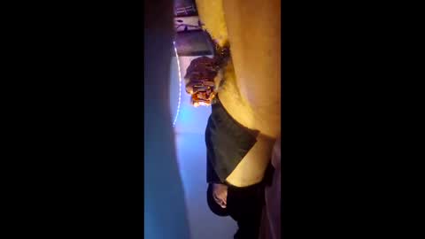 ronnieditzy online show from March 2026 06:23:02 PM