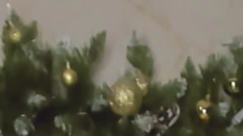 Chloe online show from December 2024 10:05:01 PM