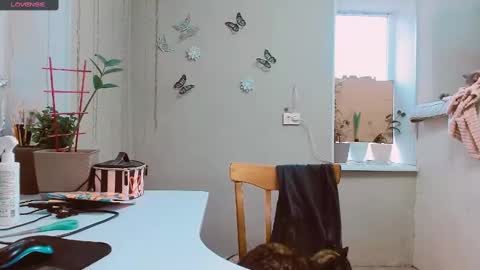 rosa843850 online show from February 2025 02:13:02 PM