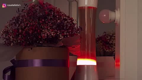 Rosalie online show from September 2025 07:34:02 AM