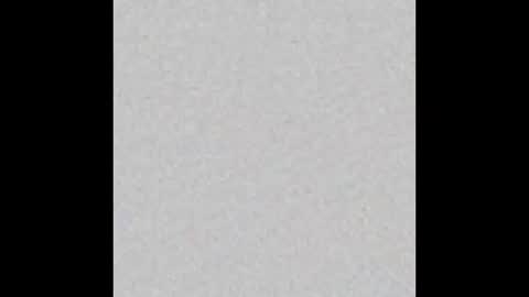 Rose online show from October 2025 06:50:02 PM