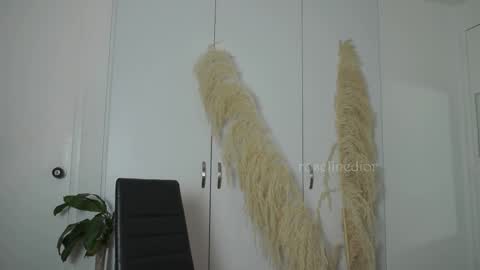 Lyla OF roselinedior online show from September 2025 03:05:01 PM