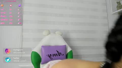   online show from January 2025 11:11:01 AM