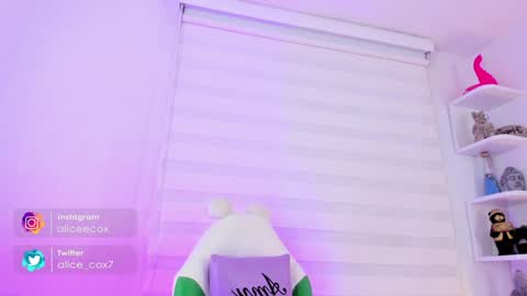   online show from January 2025 11:11:01 AM