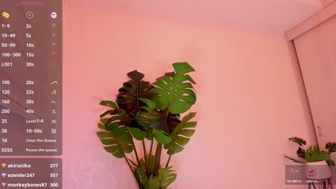 DREAM online show from January 2025 12:20:01 AM