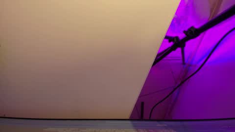 Roxane online show from March 2026 03:34:02 AM