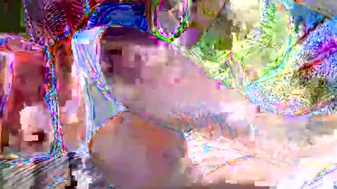 royalmuse online show from January 2026 11:25:01 AM