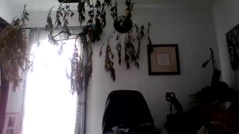 Roy Murrin online show from October 2025 08:08:01 PM