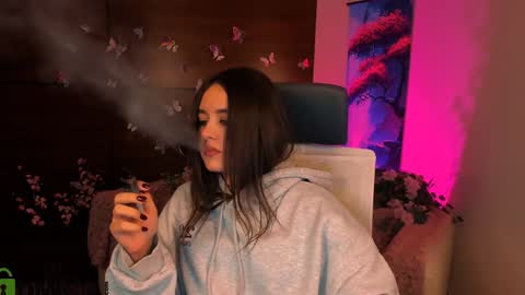 Snapshot of rozmary_ket chatting on December 2024 06:27:02 PM Im Rozmary nice to meet you 3 online show from December 2024 06:27:02 PM