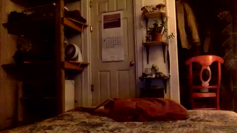 Snapshot of rp131313 chatting on November 2025 08:11:02 AM rp131313 online show from November 2025 08:11:02 AM