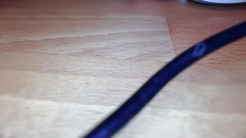 rudi1958631243 online show from March 2026 09:32:02 PM