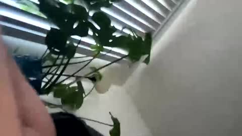 Snapshot of rula___1 chatting on February 2026 10:47:01 PM rula___1 online show from February 2026 10:47:01 PM