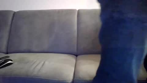 runner_1978 online show from May 2026 08:25:02 PM