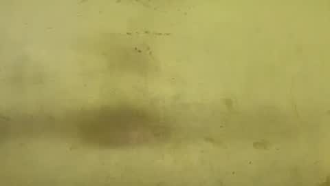 Rupali online show from December 2025 08:43:01 AM