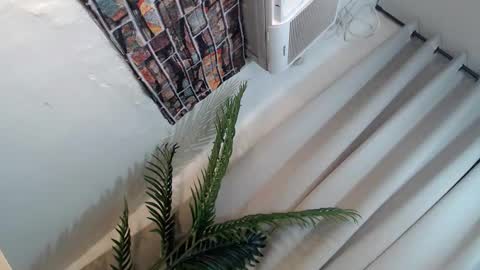 Its me Ryan  online show from January 2025 06:27:01 PM