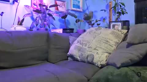 ryantate_88 online show from December 2025 03:37:02 AM