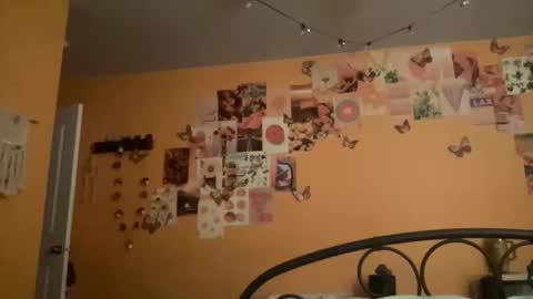 rylancurlygirlxoxo online show from January 2026 04:26:01 AM