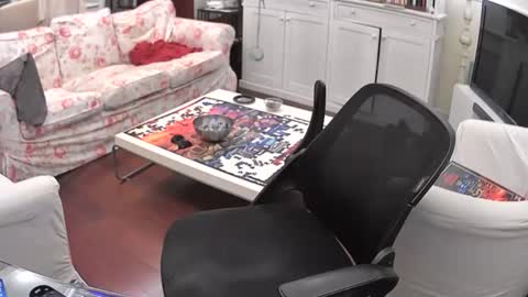 s3xyboy79 online show from April 2026 01:47:01 AM