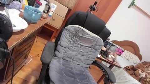 1141323  my Lord Mister Max   moms treasure online show from April 2026 04:46:01 AM