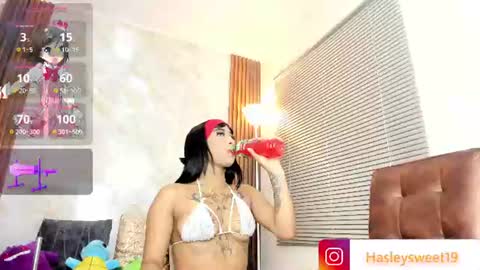  Hasley  online show from August 2026 10:22:02 PM