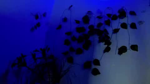 SABRI online show from April 2026 02:23:02 AM