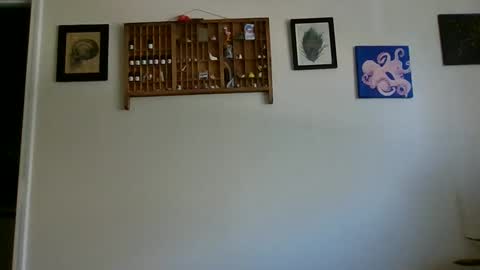 Lelo online show from December 2024 05:42:01 PM