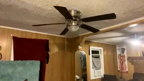 PupTwink online show from October 2025 02:10:01 AM