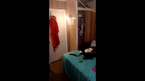 PupTwink online show from March 2026 10:34:02 PM