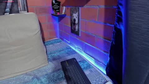 sainix_ online show from December 2024 11:56:01 PM