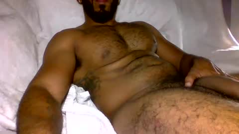 SD17 online show from December 2024 03:11:02 AM