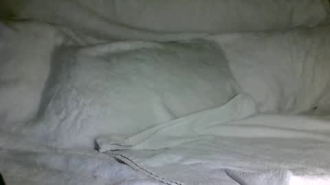 SD17 online show from December 2024 03:12:01 AM