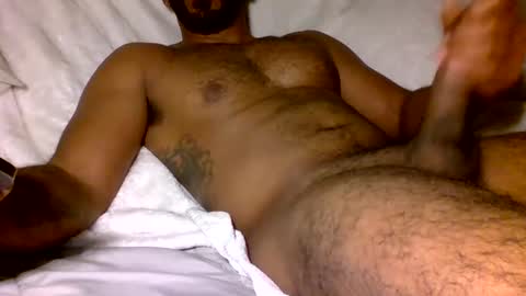 SD17 online show from February 2025 01:30:02 AM