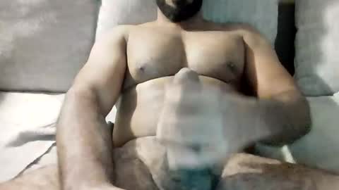 SD17 online show from November 2025 02:38:02 PM