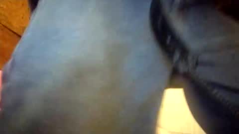 Penoso online show from December 2025 02:31:02 AM