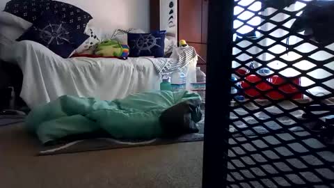 salis1981 online show from February 2025 12:31:02 AM