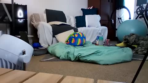 salis1981 online show from February 2025 12:35:02 AM