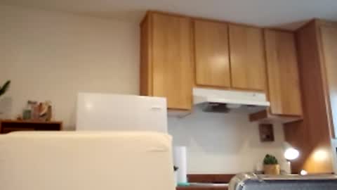 salis1981 online show from March 2025 05:36:02 PM