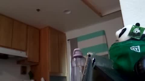 salis1981 online show from September 2025 07:49:01 PM