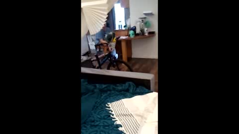 salis1981 online show from April 2026 12:30:02 AM