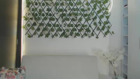 Snapshot of salome_010 chatting on September 2025 12:12:02 AM Salome online show from September 2025 12:12:02 AM