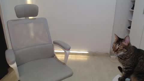 Snapshot of salome_010 chatting on October 2025 03:34:01 PM Salome online show from October 2025 03:34:01 PM