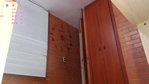 SAMANTHA online show from January 2025 09:41:01 PM