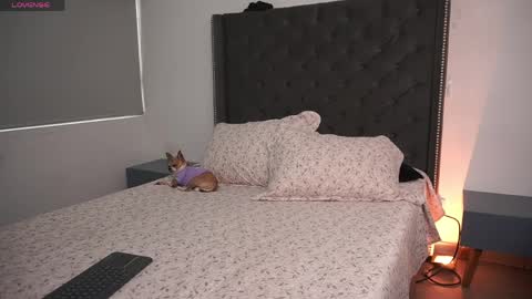 salomedyla online show from April 2026 09:39:33 PM